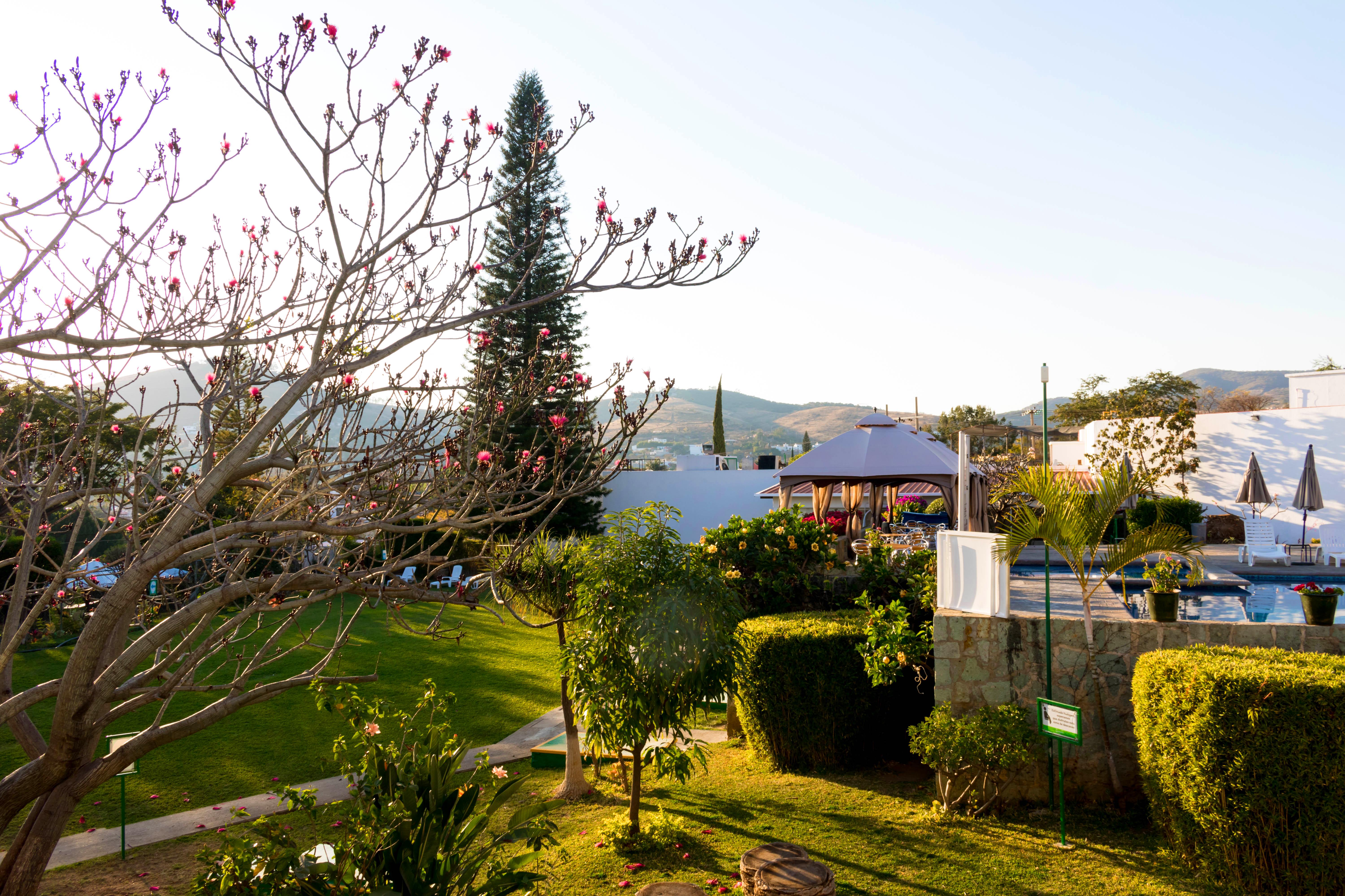 Mision Oaxaca Ξενοδοχείο Εξωτερικό φωτογραφία